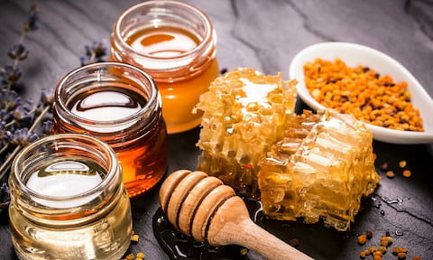 تصویر 1 از فروش عسل طبیعی درجه یک + قیمت خرید به صرفه